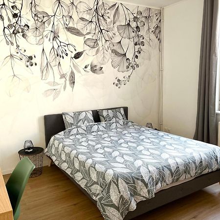 La Valencianne Apartment Valenciennes Bagian luar foto